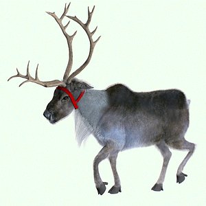 3D model reindeer