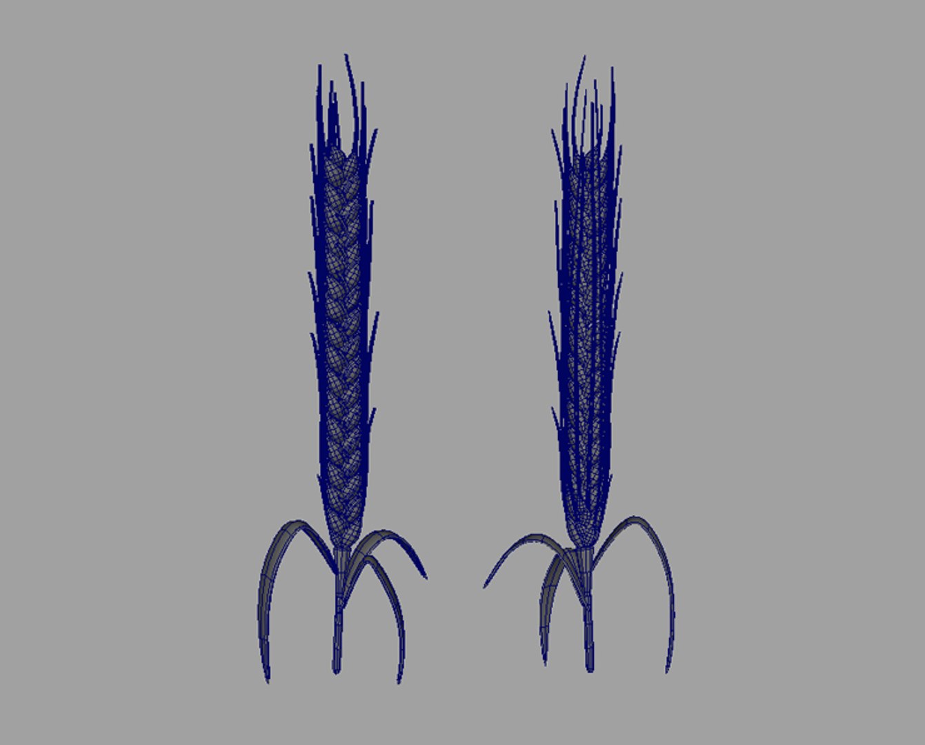 maya barley wheat https://p.turbosquid.com/ts-thumb/ne/18stNH/PA5POi6P/barley_wireframe/jpg/1336403251/1920x1080/fit_q87/b1fc7303cf73833c52810a5dda1013966be27aea/barley_wireframe.jpg