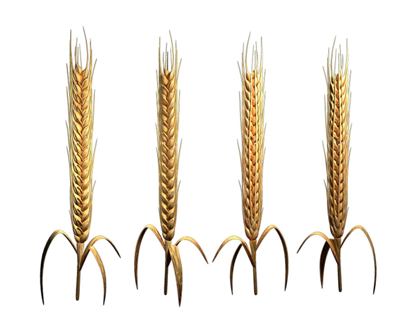 maya barley wheat https://p.turbosquid.com/ts-thumb/ne/18stNH/Sl8EQSZu/barley_model_sheet_b/jpg/1336403760/1920x1080/fit_q87/13de0138a4c861f985d1cae97c631ba68a6c5fcb/barley_model_sheet_b.jpg