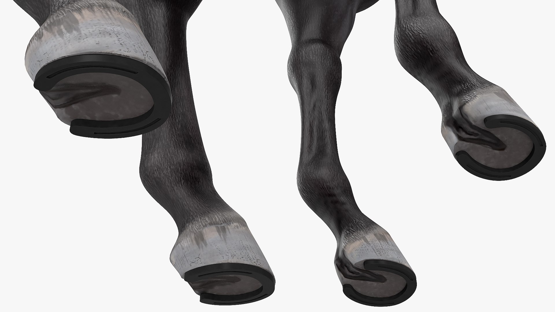 3D horse black https://p.turbosquid.com/ts-thumb/ne/C7b3V8/2oS2qztR/horseblack3dsmodel009/jpg/1572305501/1920x1080/fit_q87/24b4ccc6a0589b8758a56ff5e7b77a7a57c54303/horseblack3dsmodel009.jpg