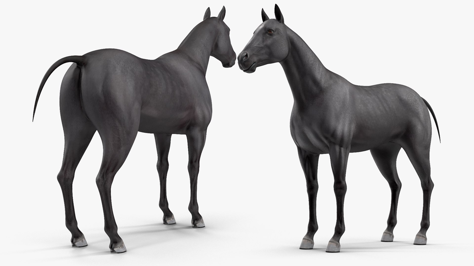 3D horse black https://p.turbosquid.com/ts-thumb/ne/C7b3V8/FL3Uau0F/horseblack3dsmodel005/jpg/1572305479/1920x1080/fit_q87/cf1403bd8ecb82836b2f21c2cb773950052b2d7b/horseblack3dsmodel005.jpg