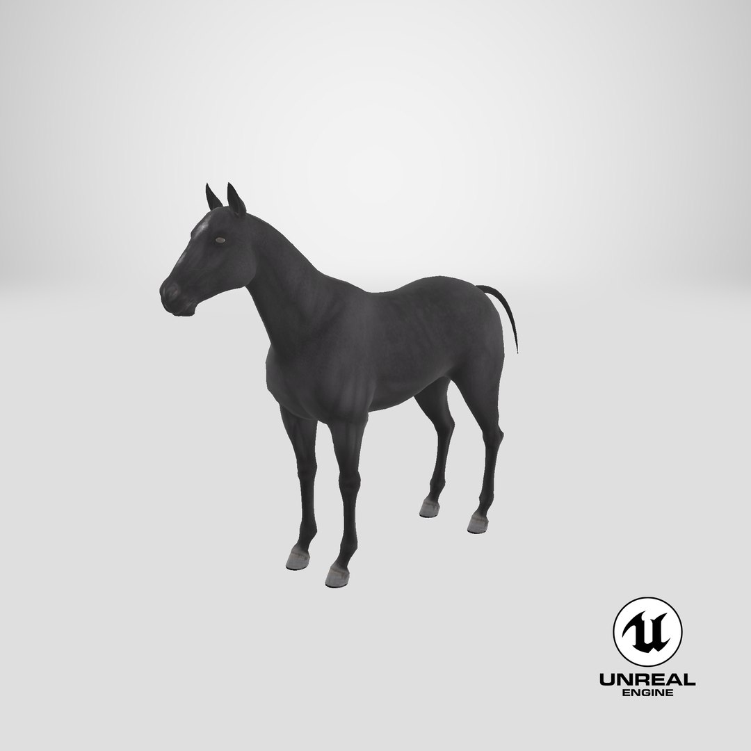 3D horse black https://p.turbosquid.com/ts-thumb/ne/C7b3V8/Kb/stemcell_unreal_render/png/1648558937/1920x1080/fit_q87/75f70d925a6b14239c6b9400811380e4b6007aa5/stemcell_unreal_render.jpg