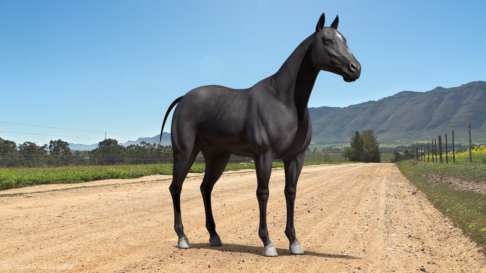 3D horse black https://p.turbosquid.com/ts-thumb/ne/C7b3V8/XwKuwjdS/horseblack3dsmodel002/jpg/1572305462/1920x1080/fit_q87/e029cdfa36787829a303d826974aef10401a61eb/horseblack3dsmodel002.jpg