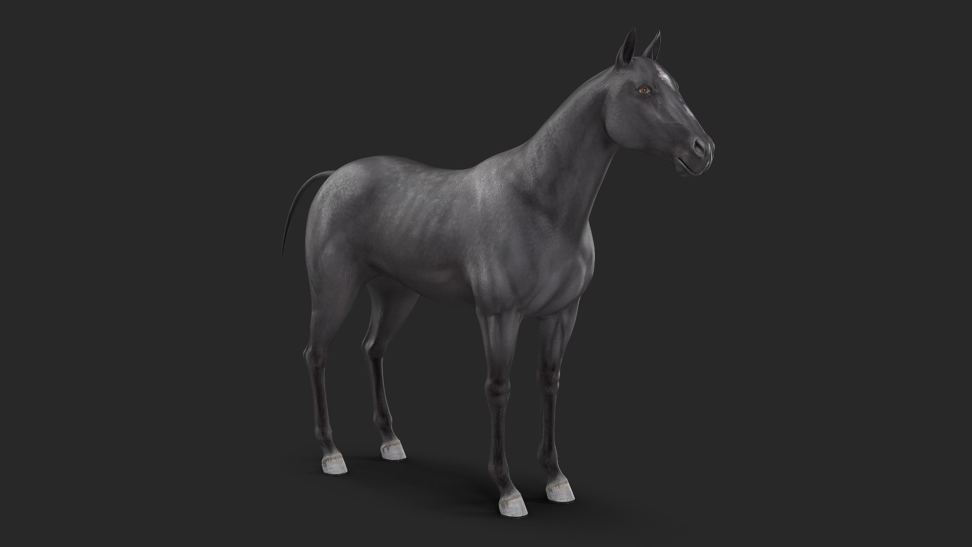 Horse Black 3D model preview