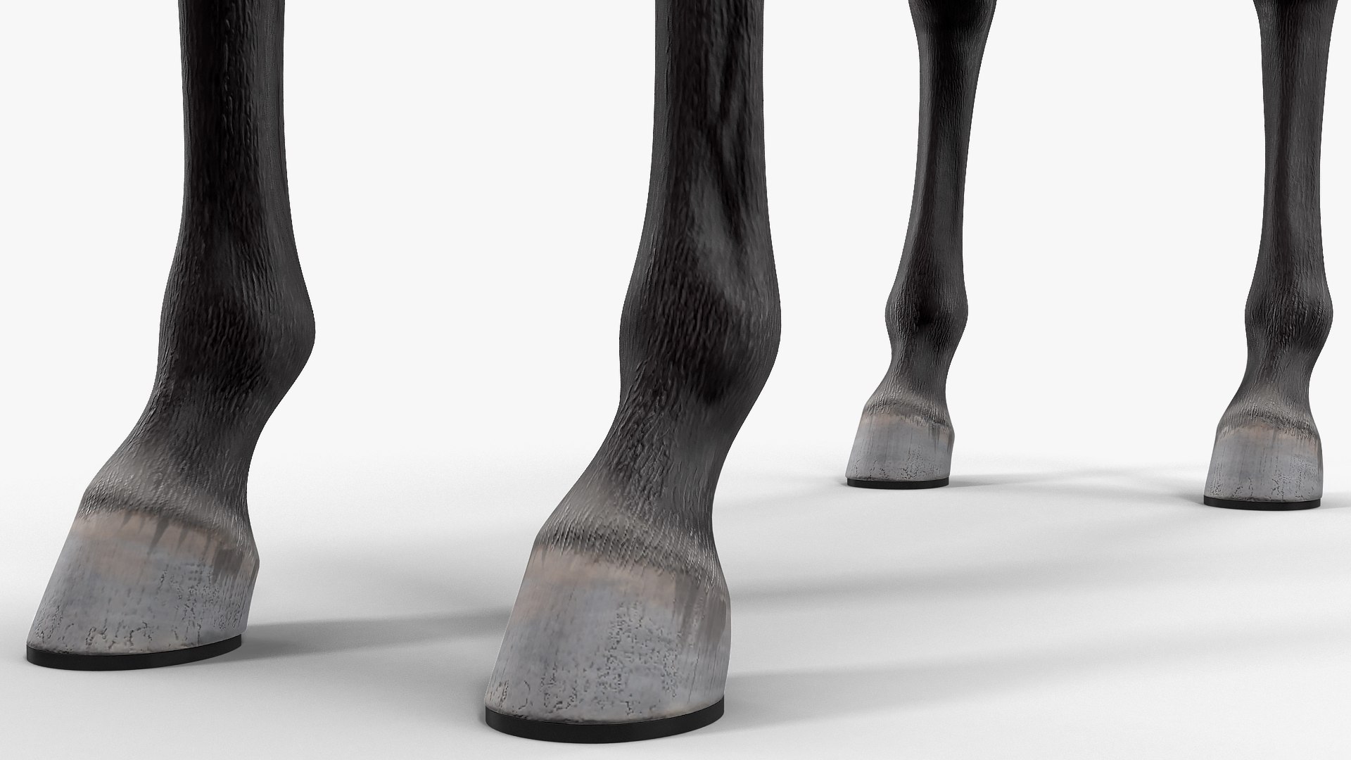 3D horse black https://p.turbosquid.com/ts-thumb/ne/C7b3V8/sp7NfdMk/horseblack3dsmodel013/jpg/1572305523/1920x1080/fit_q87/d4daff370bc64a7d510f0f2eff85167a82e20dc1/horseblack3dsmodel013.jpg