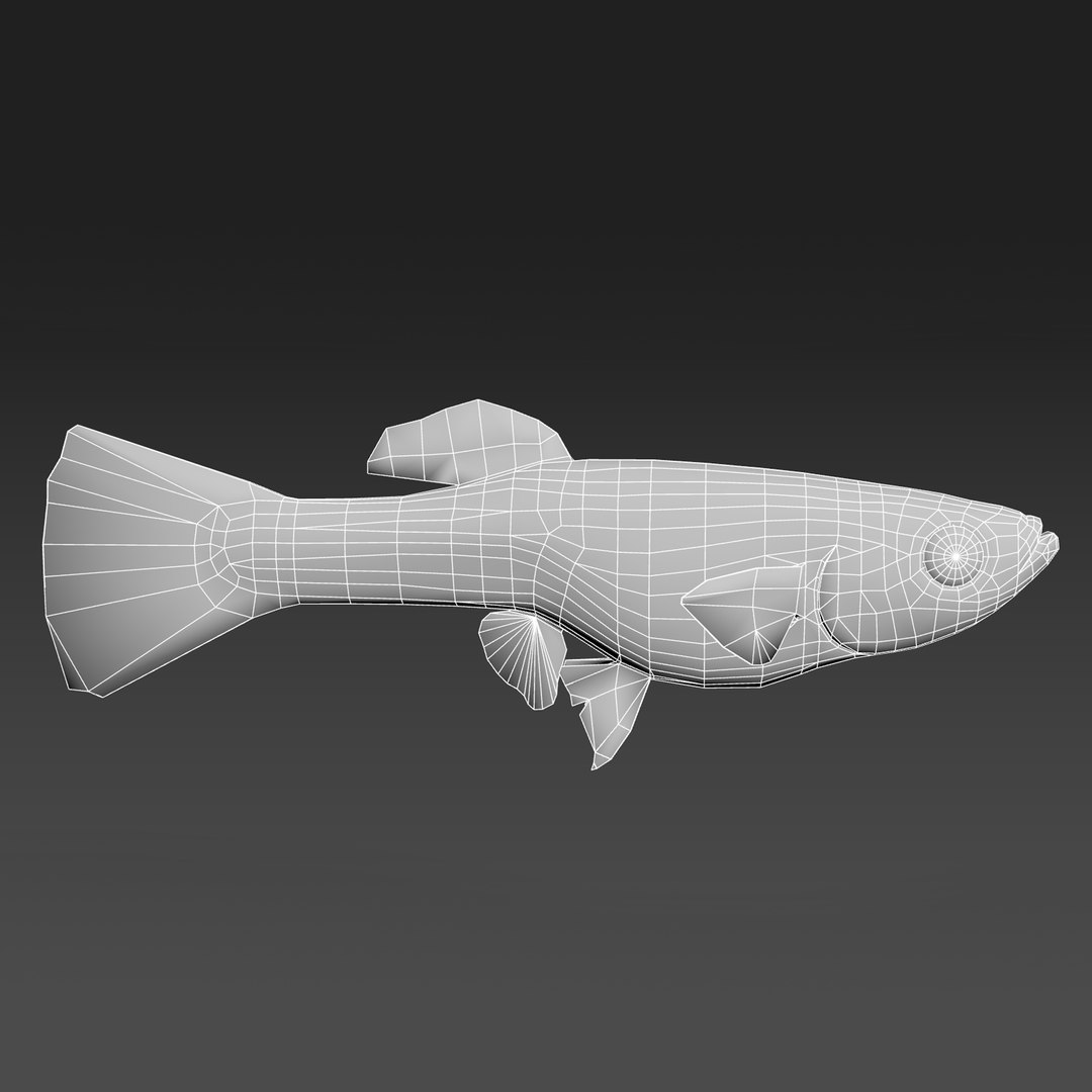 3D Model Guppy Fish Baby - TurboSquid 2546061