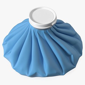 Reusable Ice Bag Blue 3D model