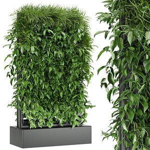 Collection plant vol 168 3D