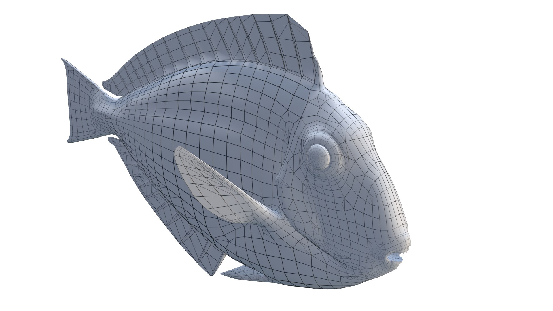 Blue Tang Fish 3D Model 3D Model - TurboSquid 2313583