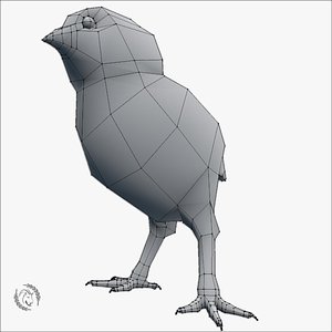 3D base mesh chick
