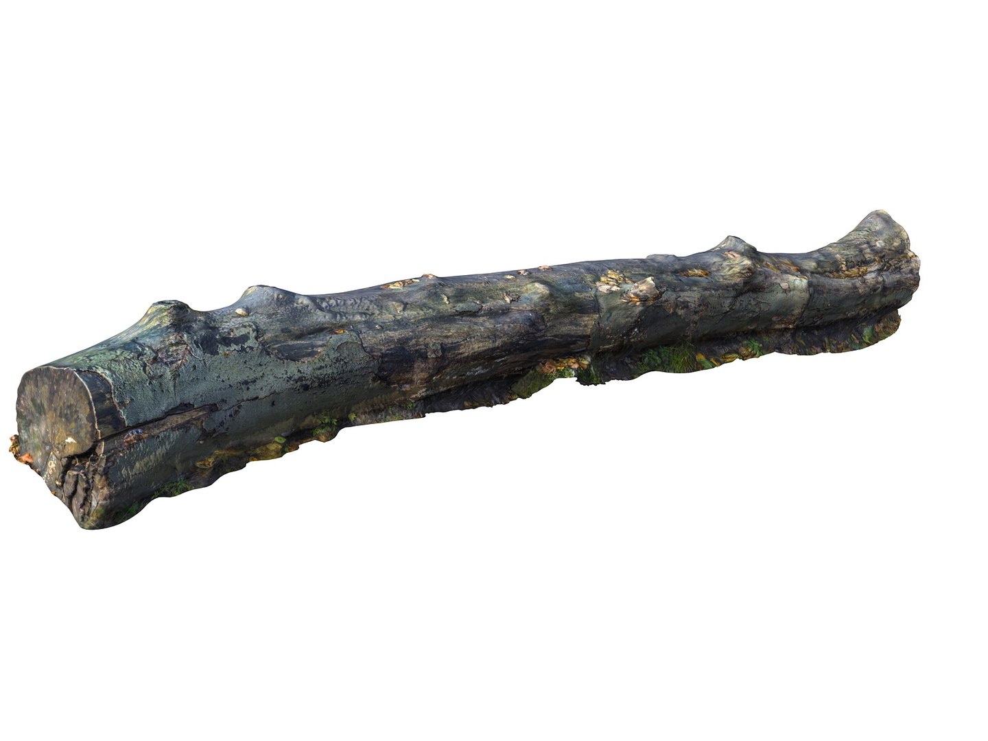 3d model big logs 16k