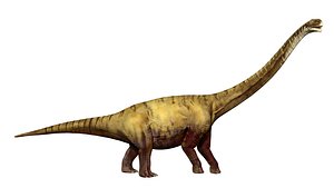 3D Chuanjiesaurus Dinosaur Jurassic Animal model