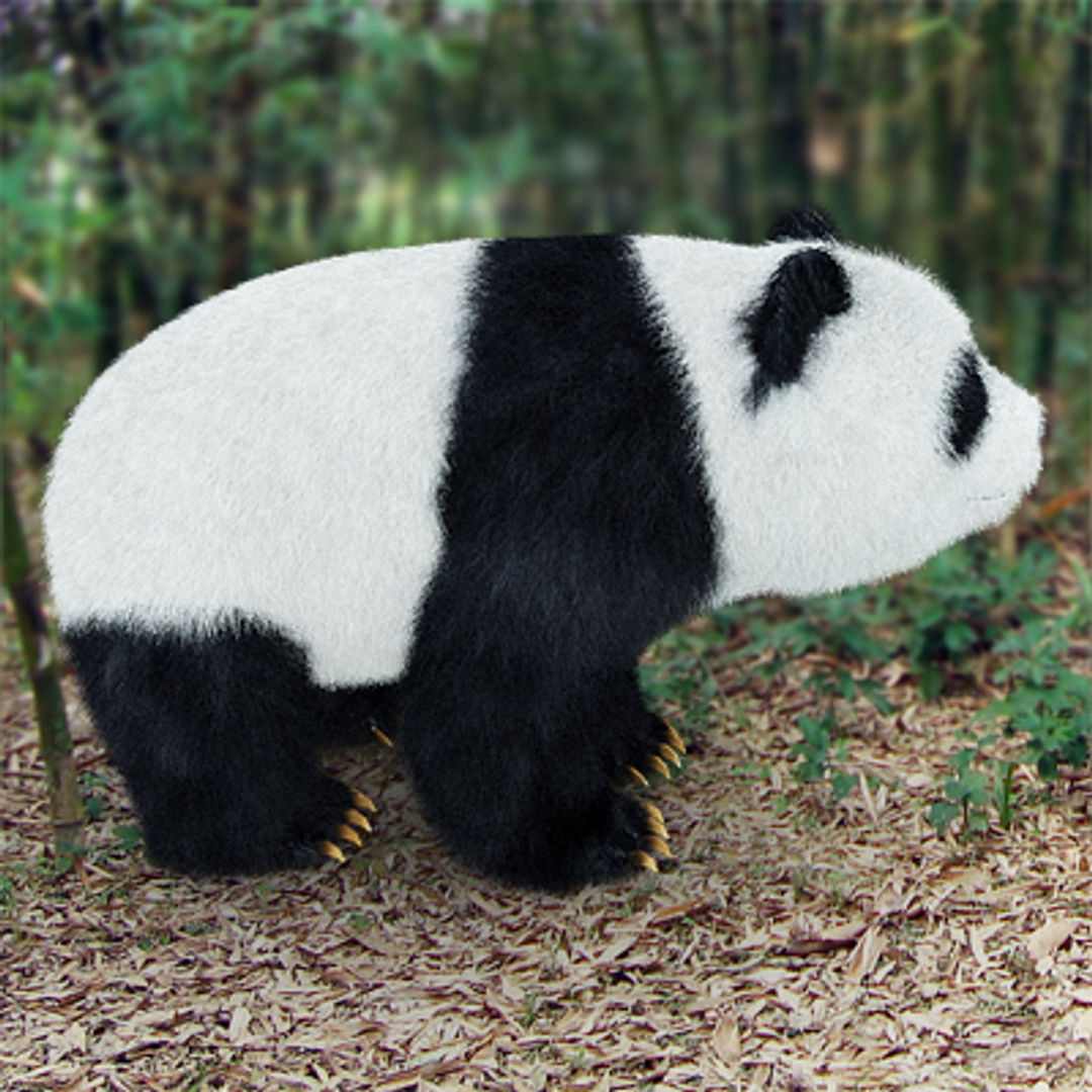 Giant Panda 3d 3ds