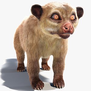 Kinkajou 3D model