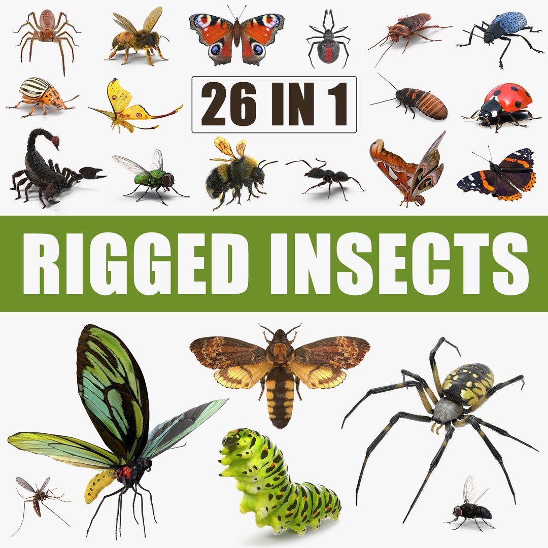 Insects Big Rigged 3D Models Collection 3D model preview
