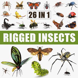3D model insects big rigged