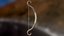 Rustic Bow