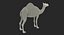 Camel Rigged pour Cinema 4D