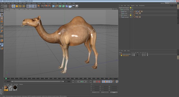 3d model camel rigged