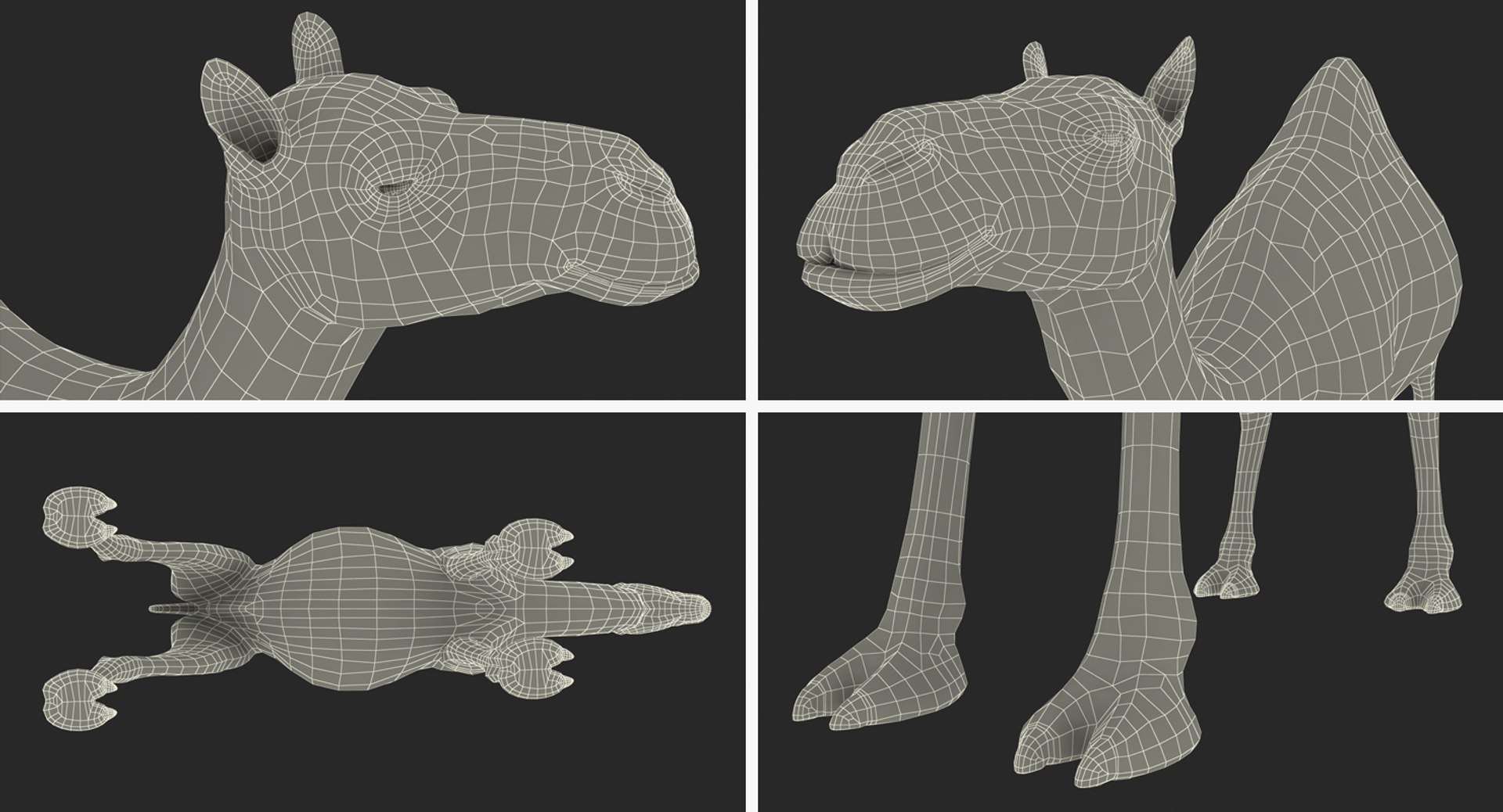 3d model camel rigged https://p.turbosquid.com/ts-thumb/nf/SaC7mC/Ukz1pkmu/camelriggedcinemac4dmodel33/jpg/1487414097/1920x1080/fit_q87/a123f84ed67d981a9a6ebb8c1dca54bae4f6c2c1/camelriggedcinemac4dmodel33.jpg