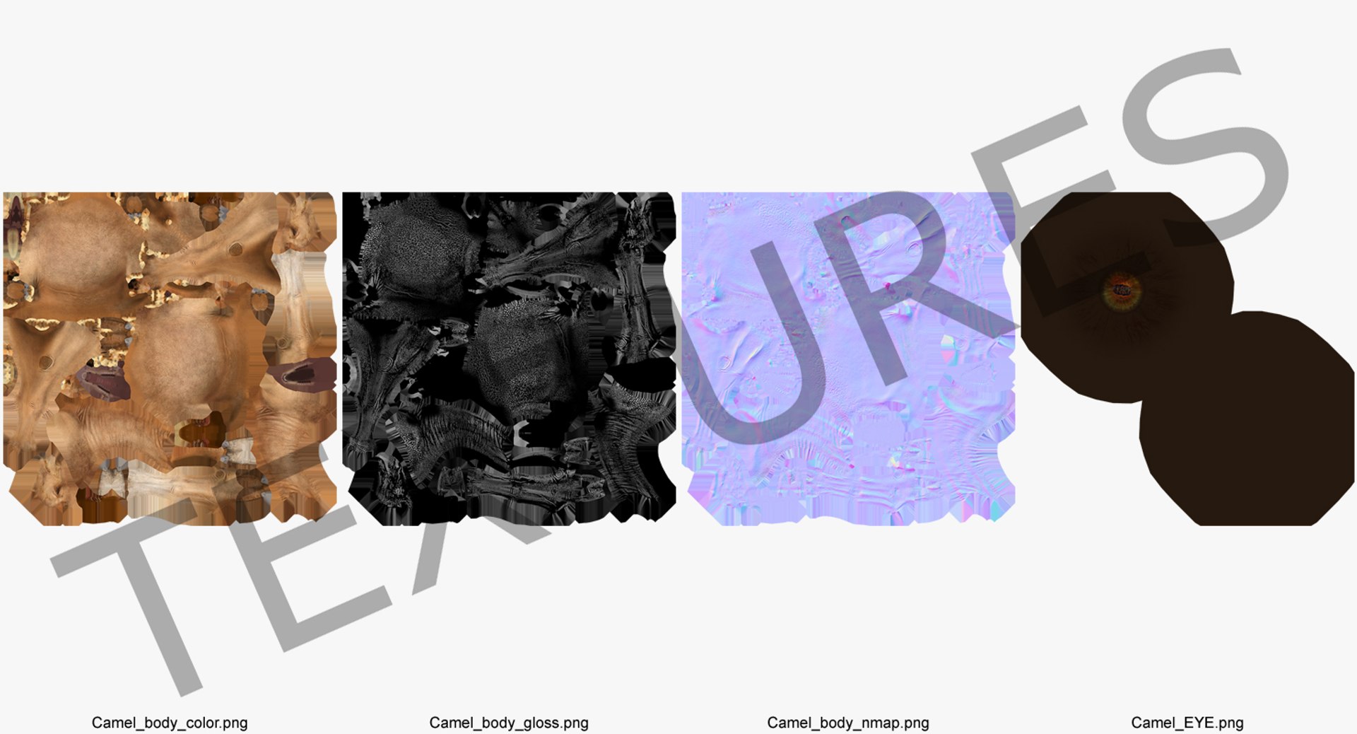 3d model camel rigged https://p.turbosquid.com/ts-thumb/nf/SaC7mC/ZoSbK3rZ/camelriggedcinemac4dmodel25/jpg/1487414097/1920x1080/fit_q87/5cc3bbb032db252ab2383224281af2aafb63633a/camelriggedcinemac4dmodel25.jpg