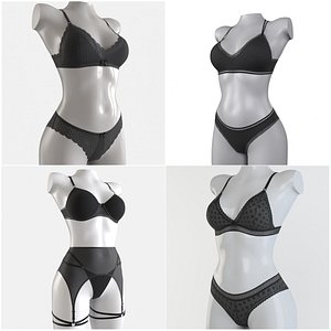 4 in 1 Lingerie Pack 2