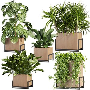 Collection plant vol 520 - box - palm - office - pothos 3D model