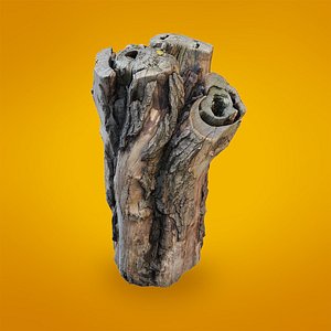 3d realistic scanned trunk model