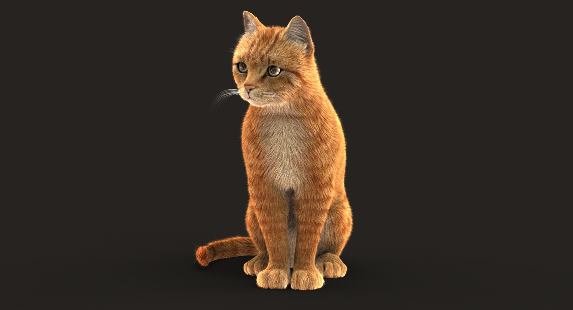 cat rigged fur 2 3D model https://p.turbosquid.com/ts-thumb/nf/u1OAK8/Ch0aWFVs/cat2orangesitmaya2017shave96v5e2/jpg/1531012421/1920x1080/fit_q87/6278220127731477b059256f4805e6e764ac25b6/cat2orangesitmaya2017shave96v5e2.jpg