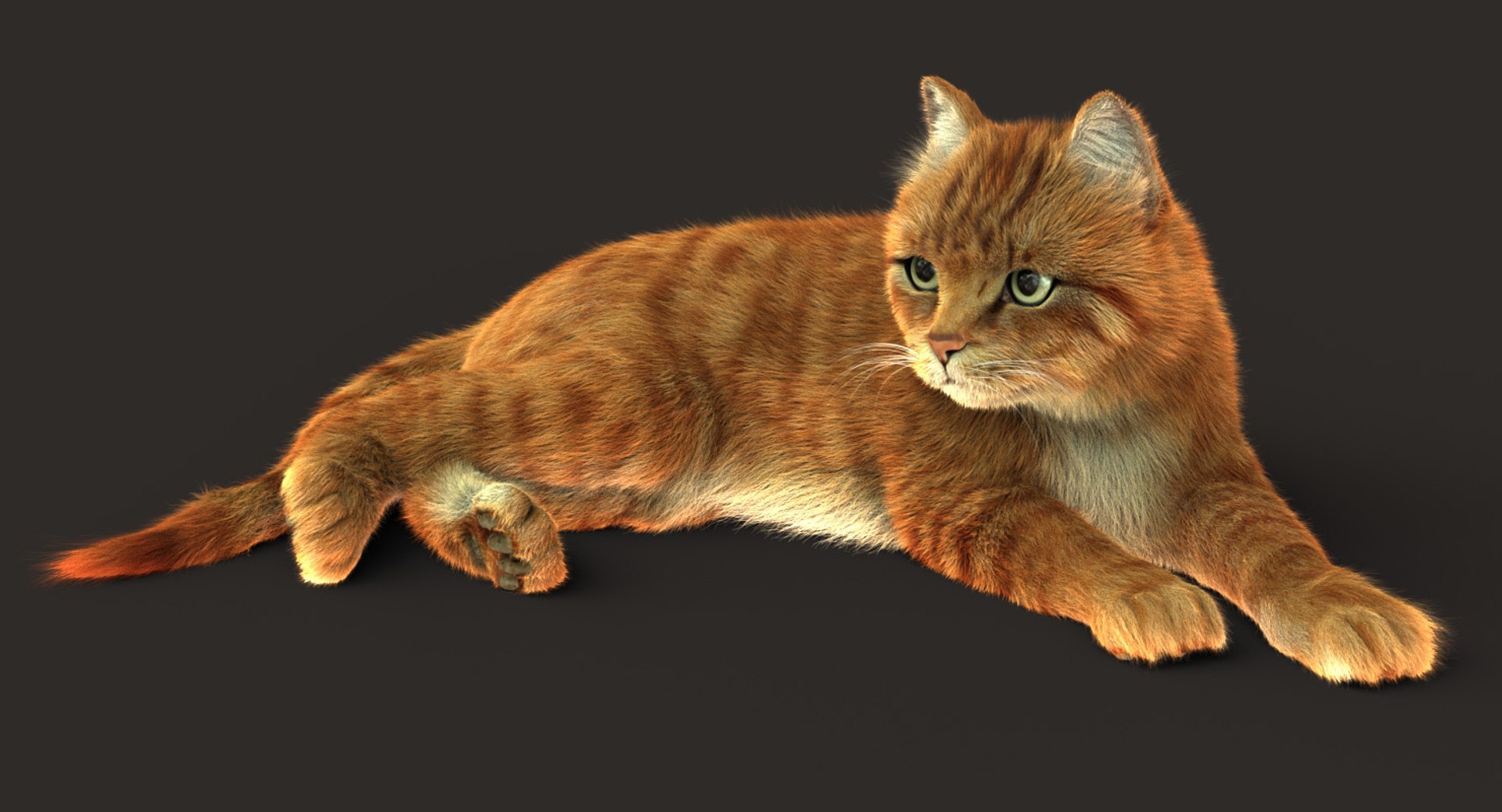 Cat Rigged Fur 3D Model TurboSquid 1304218