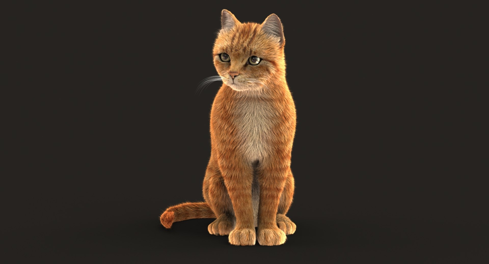 cat rigged fur 2 3D model https://p.turbosquid.com/ts-thumb/nf/u1OAK8/MY6x2Tzx/cat2orangesitmaya2017shave96v5e3/jpg/1531012421/1920x1080/fit_q87/35279a0c01bcec9c7734f563d0f704f6fbb78be0/cat2orangesitmaya2017shave96v5e3.jpg