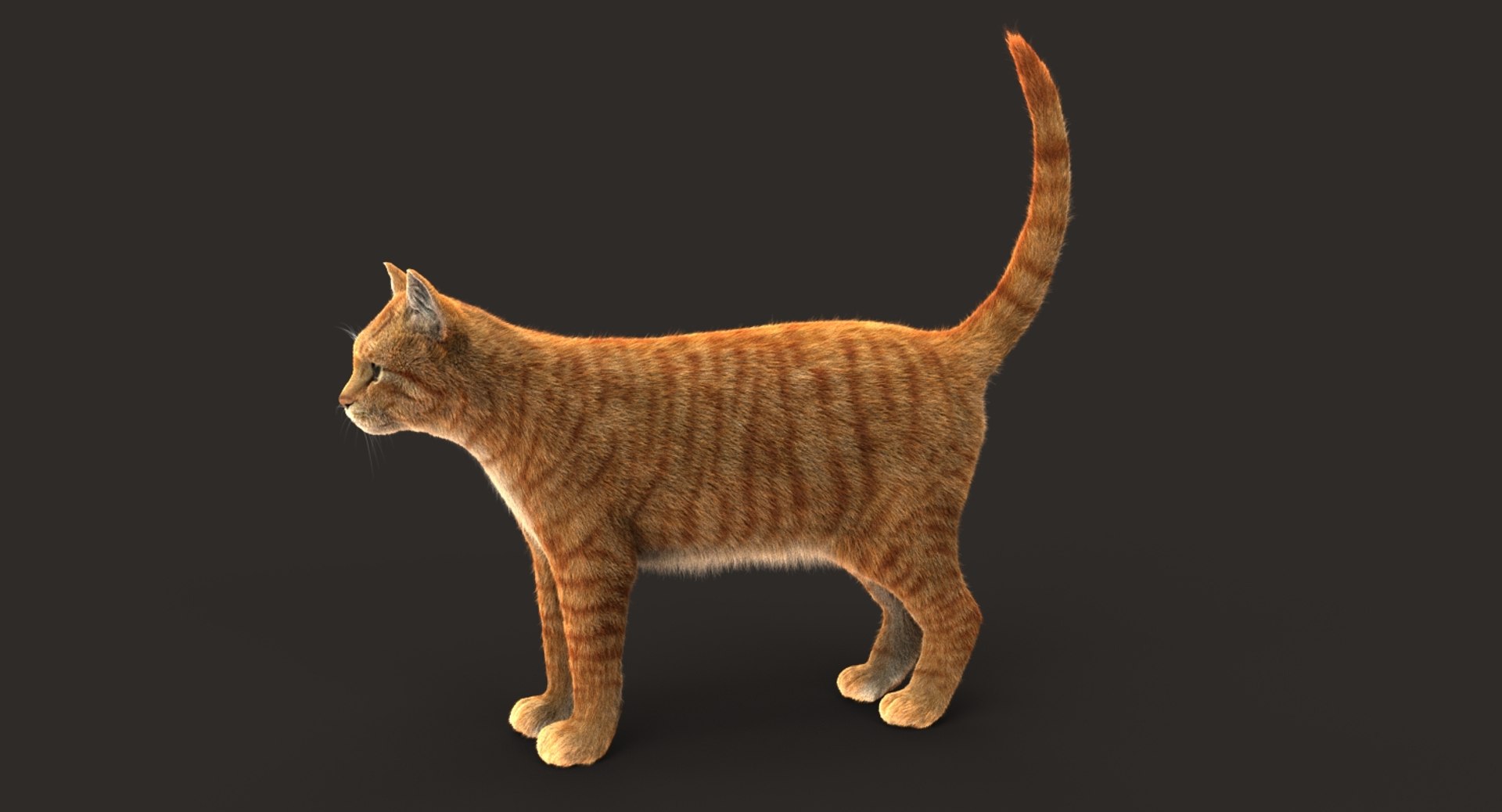 cat rigged fur 2 3D model https://p.turbosquid.com/ts-thumb/nf/u1OAK8/dsQp5sox/01/jpg/1531013296/1920x1080/fit_q87/92fceaf858119989ed7c6ef4fe6a771d521dfce5/01.jpg
