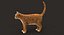 Gato (2) (Tabby naranja) (RIG) (PIEL)