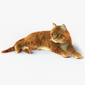 cat rigged fur 2 3D model
