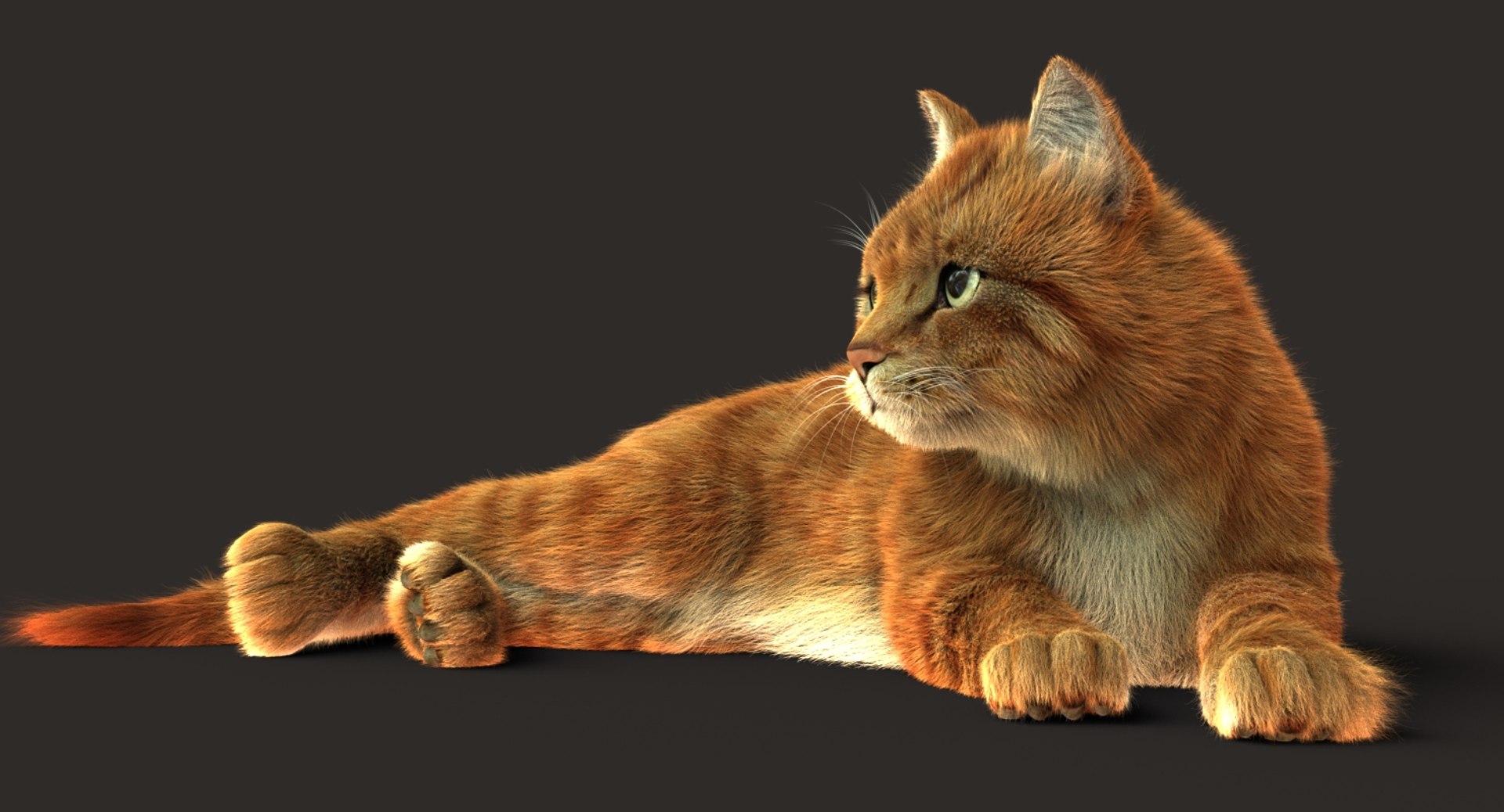 cat rigged fur 2 3D model https://p.turbosquid.com/ts-thumb/nf/u1OAK8/urGYt4ot/orangetabbylaiddown02/jpg/1530861232/1920x1080/fit_q87/88fcf05547be3df222ee3c9a2c8b87e2c900d68e/orangetabbylaiddown02.jpg