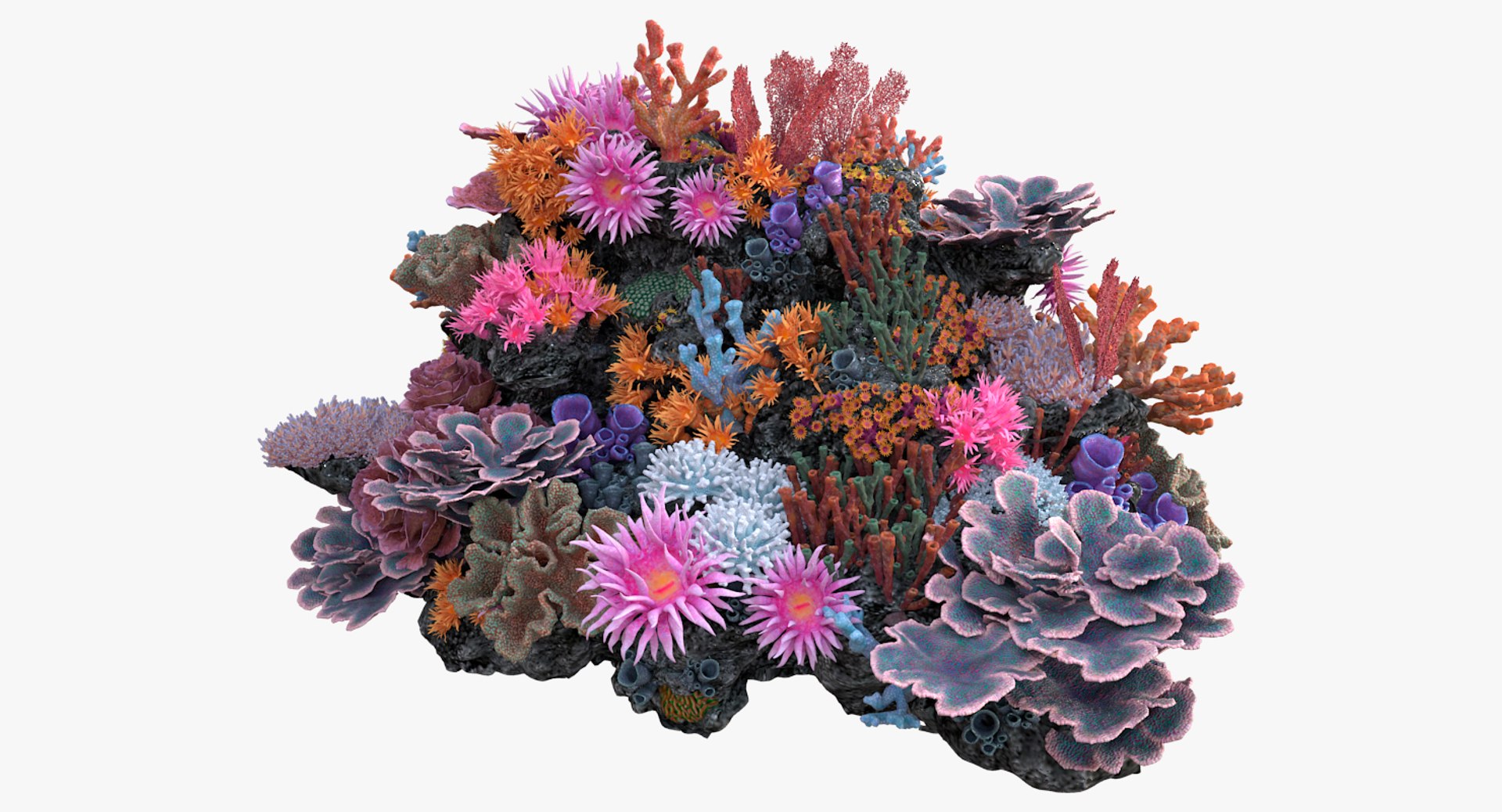 3D model coralreef n 02 - TurboSquid 1273220