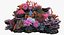 3D model coralreef n 02
