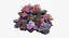 3D model coralreef n 02