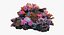 3D model coralreef n 02