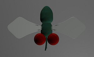 Fly