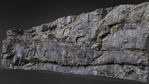 3D rock scanned model