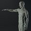 Male body anatomy