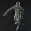 Male body anatomy