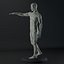 Male body anatomy
