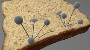 3d mucor