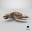 3D Baby Sea Turtle Brown