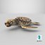 3D Baby Sea Turtle Brown