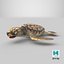 3D Baby Sea Turtle Brown