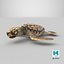 3D Baby Sea Turtle Brown