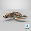 3D Baby Sea Turtle Brown
